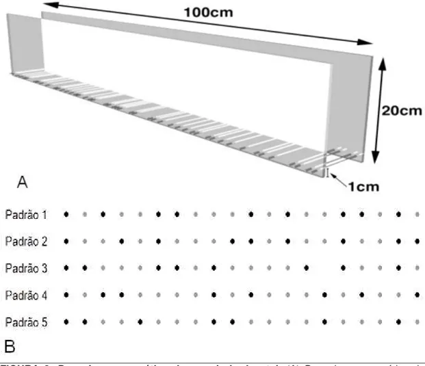 FIGURA  8-  Desenho  esquemático  da  escada  horizontal.  (A)  Desenho  esquemático  do  aparato