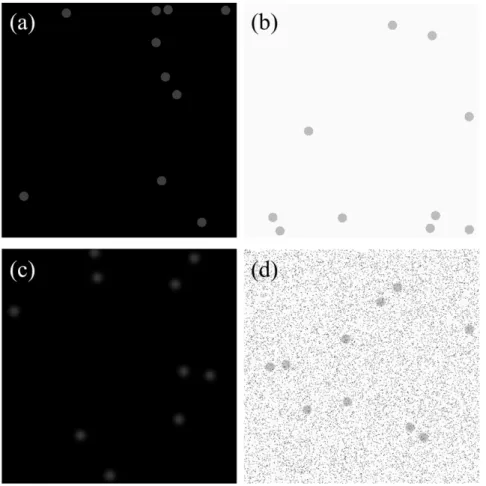 Figure 3 shows the average contrast-sensitivity curves where the error bar represents the scattering within one standard error around mean