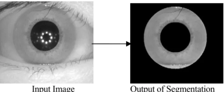 Figure 2:  Daugman’s Rubber Sheet Model. 