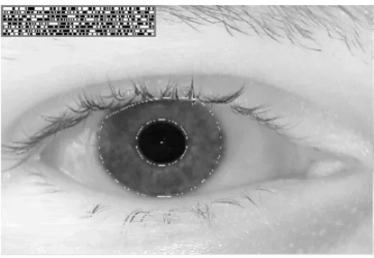 Figure 3:  Iris Code 