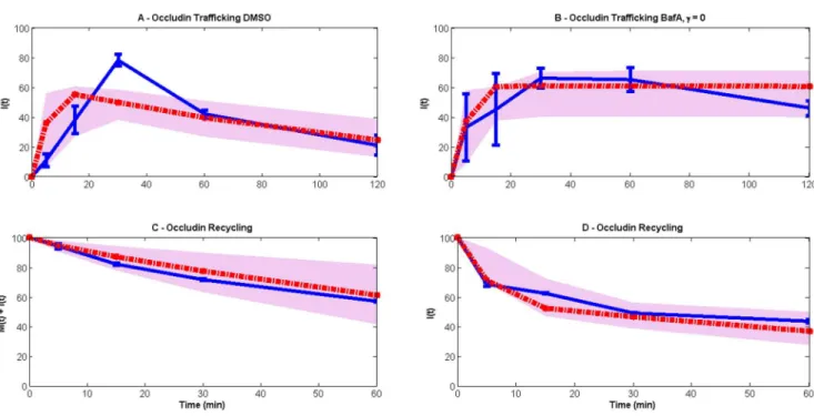 Figure 7. Model (red lines) comparison with experimental data (blue lines). The grey spreads illustrate the model output obtained using 50 random values of parameters from the posterior distribution
