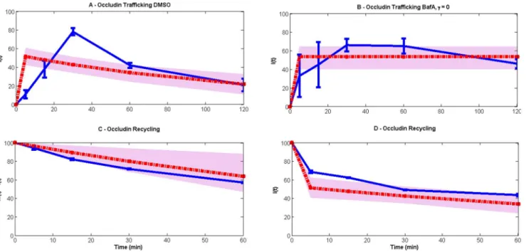 Figure 8. Linear model (red lines) comparison with the experimental data (blue lines)