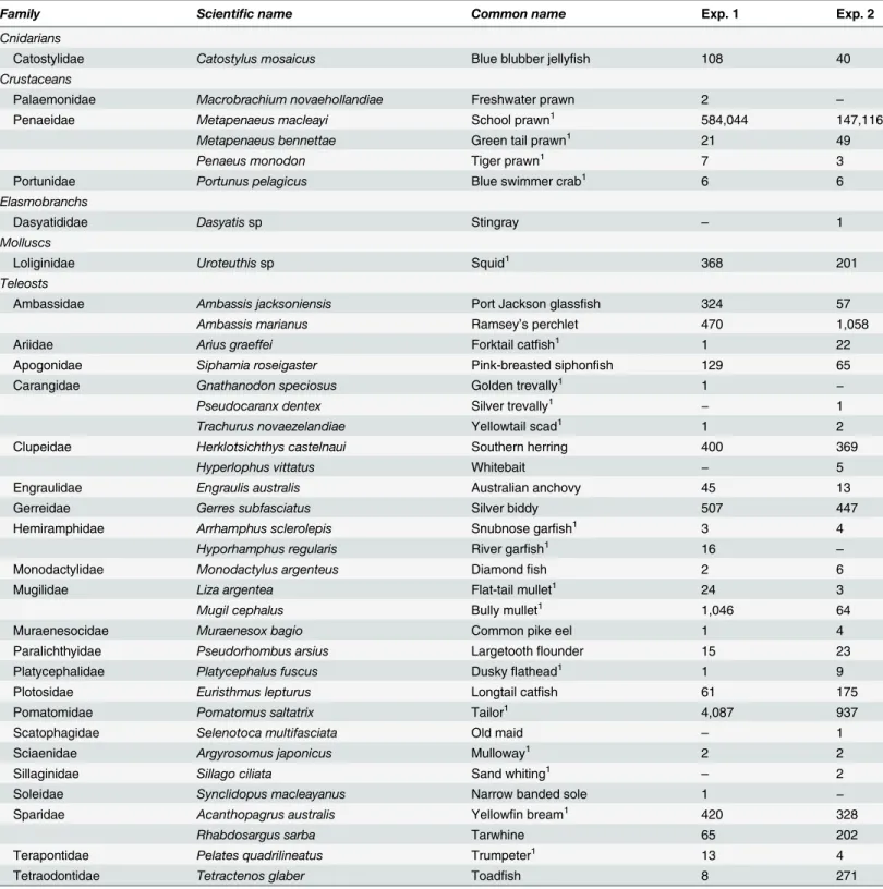 Table 1. Scientific and common names and numbers (except blue blubber jellyfish, Catostylus mosaicus—weights in kg only) of organisms caught during experiments (Exp.) 1 and 2.