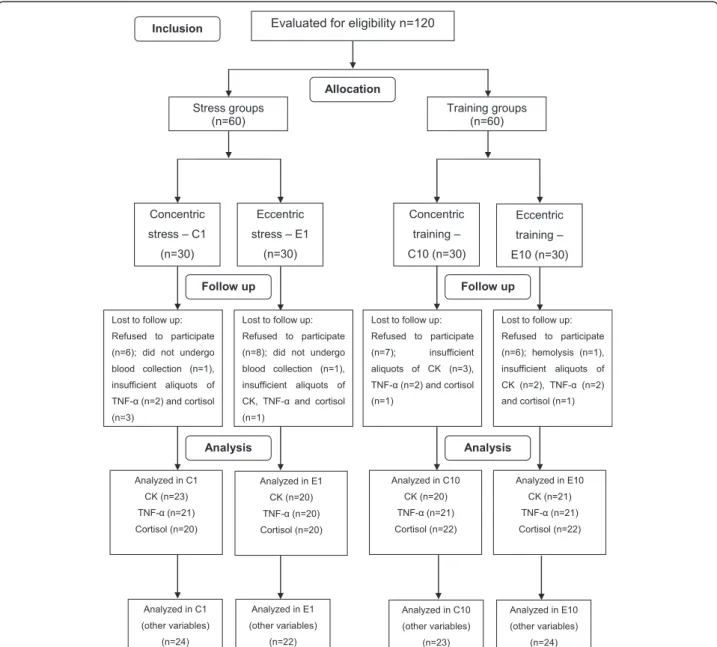 Table 1 Training according to exercise dynamics and sessions