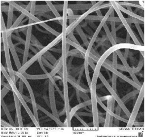 Fig.  1.    SEM  image  of  optimized  nanofibers