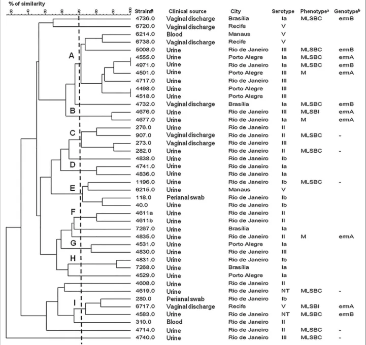 Figure 2 Dendrogram constructed by similarity and clustering analysis using the Dice coefficient and UPGMA of the digitalized PFGE profiles of 42 Streptococcus agalactiae isolates included in the present study