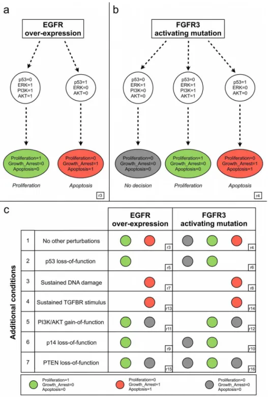 Figure 4. Coherence of the logical model with well established bladder cancer deregulations