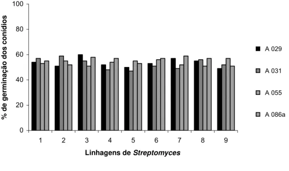 Figura 2. Efeito da adição dos filtrados de Streptomyces a 20 % sobre a  germinação dos conídios de Escovopsis weberi