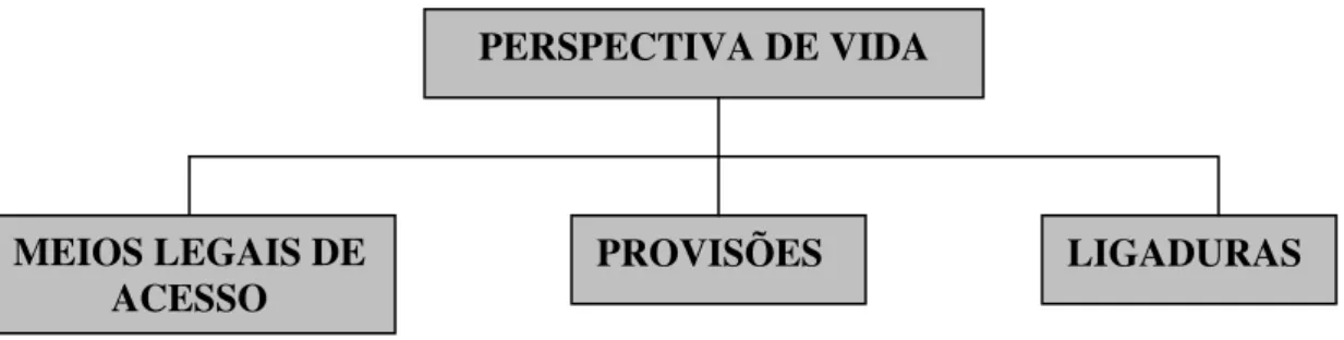 Figura 02: Estrutura metodológico-conceitual de Cardoso (2002). 