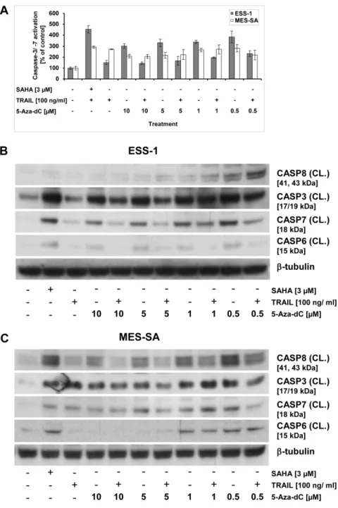Figure 6. Reactivation of apoptosis through DNA demethylation by 5-Aza-dC in uterine sarcoma cells