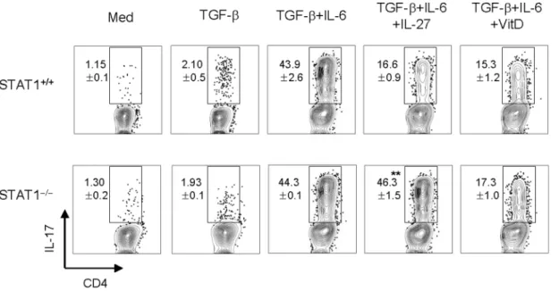 Figure 8. 1,25(OH) 2 D 3 inhibits the expression of the CCR6 molecule in activated T cells