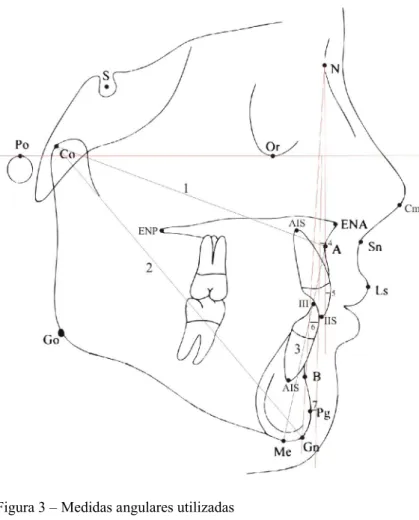 Figura 2 – Medidas lineares utilizadas