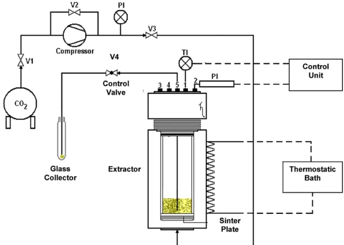 Fig. 1. Experimental set-up of the high pressure adsorption unit.