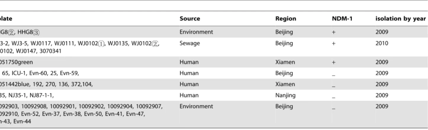 Table 1. A. baumannii isolates with or without blaNDM-1 from the environment, sewage and human.