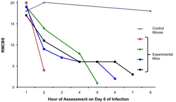 Figure 3. Overall outcome data. A and B. Compared cumulative parasitemia data from 5 experiments involving symptomatic MCM versus asymptomatic infected mice, p = 0.21 and 0.11, with (A) and without (B) outliers of parasitemia .20%, respectively