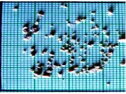 Fig. 2 – Few crystals of Bismuth Tri Sulphide 
