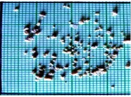 Fig. 2 – Few crystals of Bismuth Tri Sulphide 