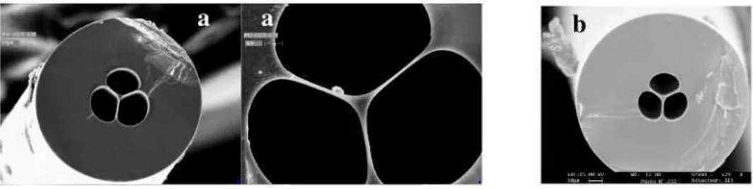 Fig.  3.  SEM  pictures  of  two  As 2 S 3   suspended  core  fibers  with  a  core  size  of  2.6µm  (a)  and  2.3µm (b)