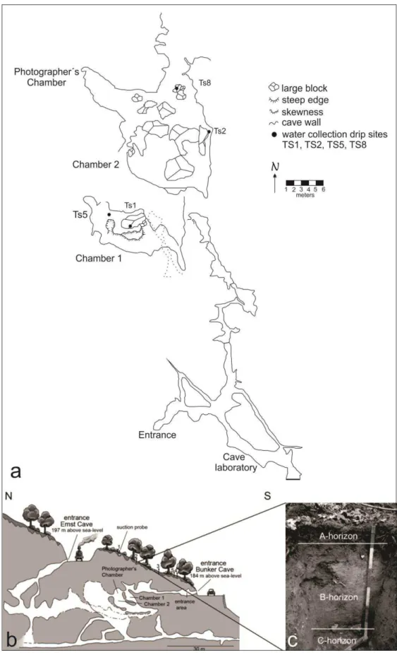 Figure 6- Survey map of the monitoring chambers of Bunker Cave, with indications of the drip  sampling sites (a); Longitudinal profile of the cave, showing the monitoring chambers and the  soil water sampling site (indicated as suction probe) (b); Soil pro