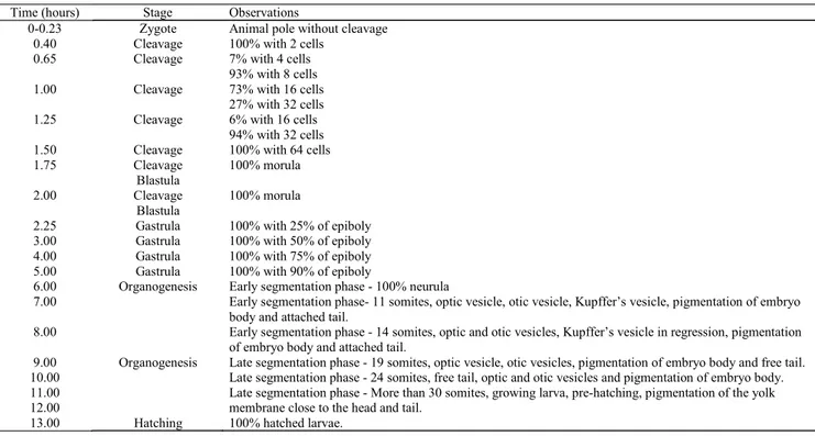 Table 1. Embryonic development of Pimelodus maculatus, at 29 °C.