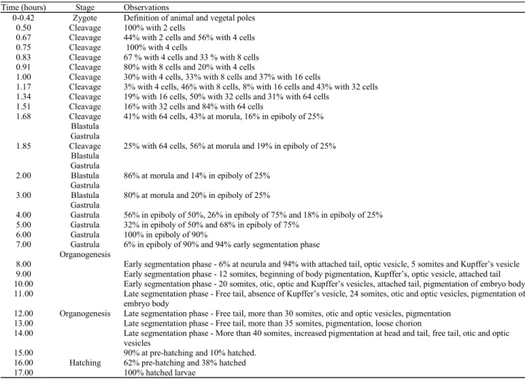 Table 2. Embryonic development of Pimelodus maculatus, at 25 ºC.