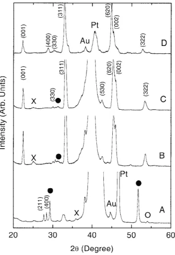 FIG. 2. XRD patterns of SBN thin films deposited on Pt/Si substrate.
