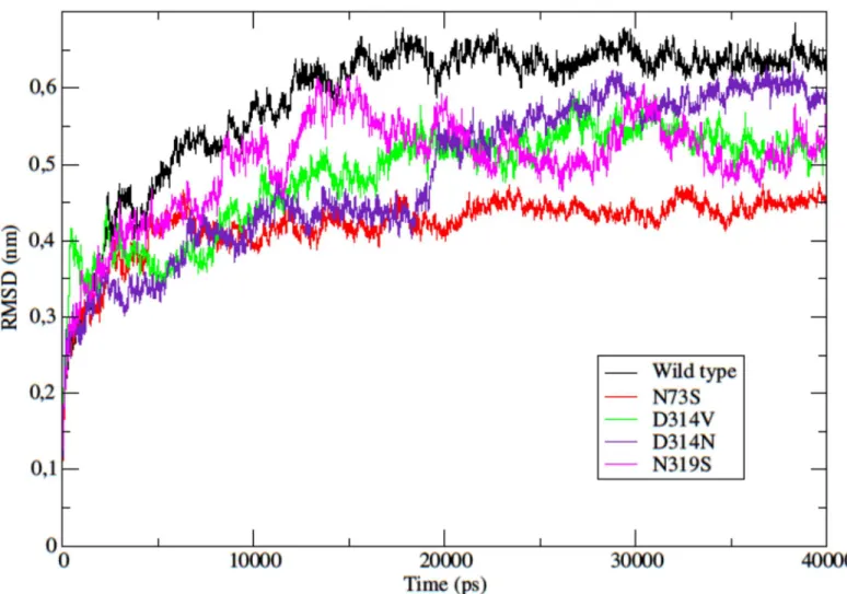 Fig 6. Backbone RMSD as a function of time. The RMSD for the backbone atoms of the wild type and the mutants are shown as a function of time.