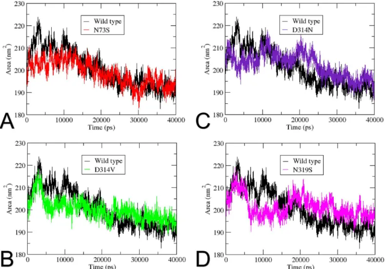 Fig 8. Solvent-accessible surface area (SASA) as a function of time. SASA of the wild type and the mutants is shown as a function of time