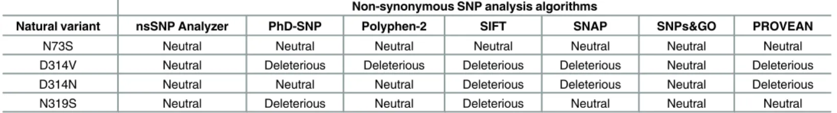 Table 1. Functional effect prediction of hnRNPA1 natural variants by different SNP prediction algorithms.