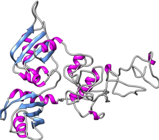 Fig 3. In silico modeled structure of hnRNPA1. The tridimensional model of hnRNPA1 generated using Rosetta algorithm followed by refinement using KoBaMIN