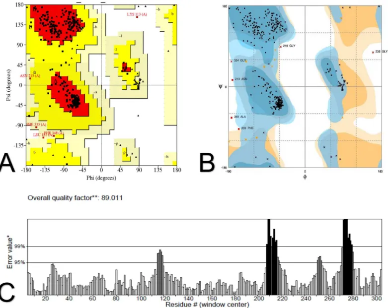 Fig 4. Validation of the in silico modeled hnRNPA1 structure. The modeled structure was validated by PROCHECK, Rampage and ERRAT
