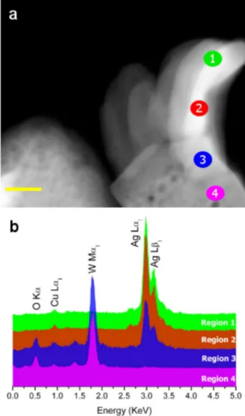 Figure 3 | XPS survey spectrum of the irradiated in (a), and non- non-irradiated a-Ag 2 WO 4 material in (b).