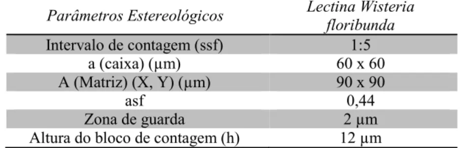 Tabela 1. Protocolo estereológico do método do fracionador óptico, adotado para estimativa de  redes perineuronais no córtex visual primário de animais submetidos à privação monocular 
