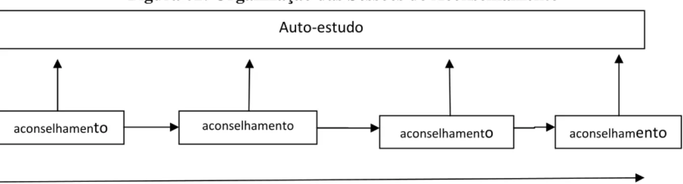 Figura 02: Organização das Sessões de Aconselhamento 