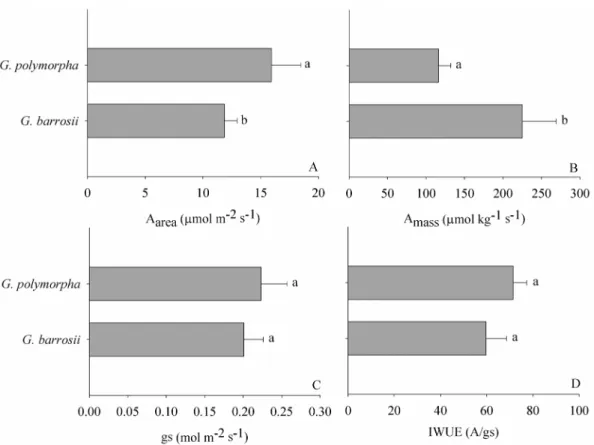 Figure 10. Physiological leaf traits of Gochnatia polymorpha (Less.) Cabrera and Gochnatia barrosii Cabrera