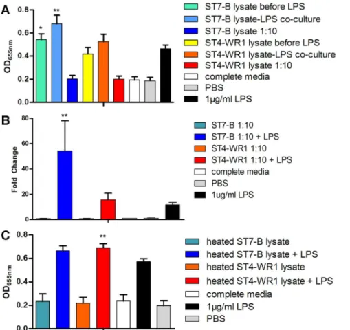 Figure 2. Effects of Blastocystis lysate on LPS stimulation of THP1-Blue monocytes. A