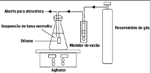 Figura 2.6 - Desenho esquemático do processo de carbonatação da LV. 