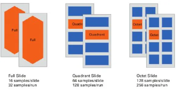 Figura 2.4: Lâminas disponíveis para o sequenciamento multiplex, extraído de (BIOSYSTEM, 2008).