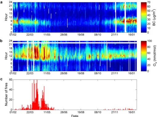 Figure 9. BC (panel a) and O 3 (panel b) diurnal variations over the entire sampling period.