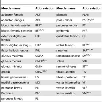 Table 2. Summary of muscles included in the hindlimb model and analyzed in experimental data.
