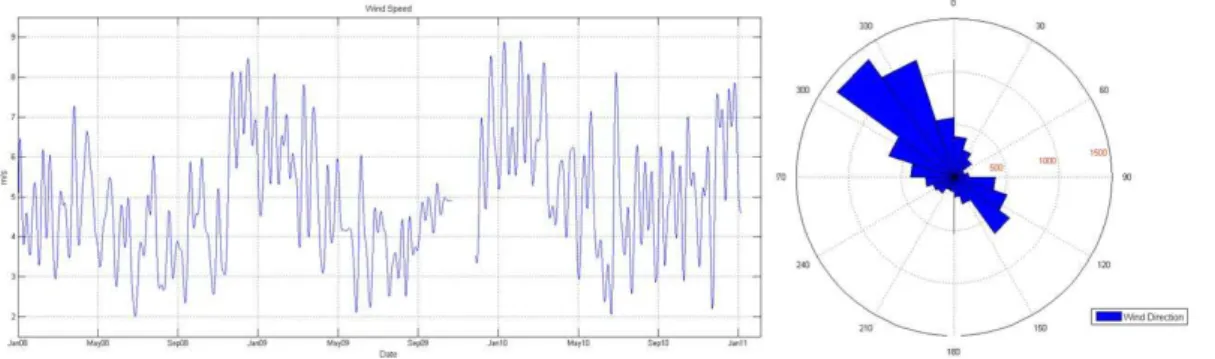 Fig. 5. Wind speed variability and direction distribution.