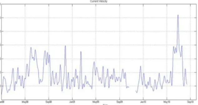 Fig. 6. Current speed variability and direction distribution.