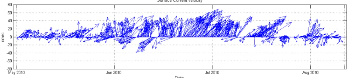 Fig. 7. Current velocity vectors during summer 2010.
