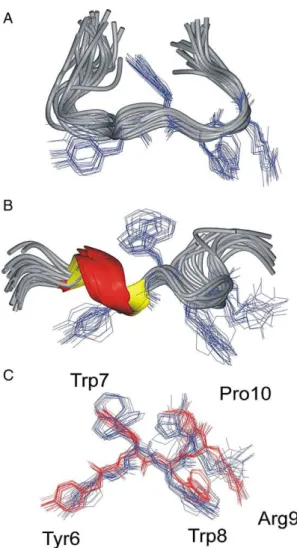 Fig. 1. Ribbon representation of the structures ensemble of PW2 in SDS micelles (A) [12] and in DPC micelles (B) [13]