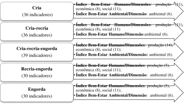 Figura  8-  Distribuição  dos  indicadores  para  análise  sob  o  contexto  da  produção  de  bovinos  de  corte por fases de criação