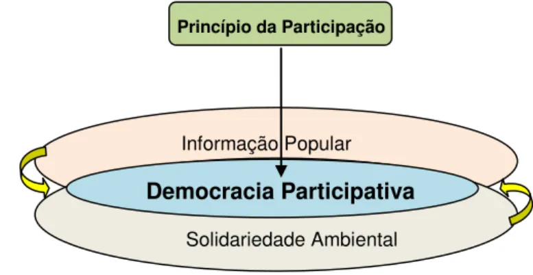 Figura  01.  Quadro  sinótico:  Princípio  da  Participação  como  expressão  da  Democracia  Participativa  no  Direito  Ambiental, 2012