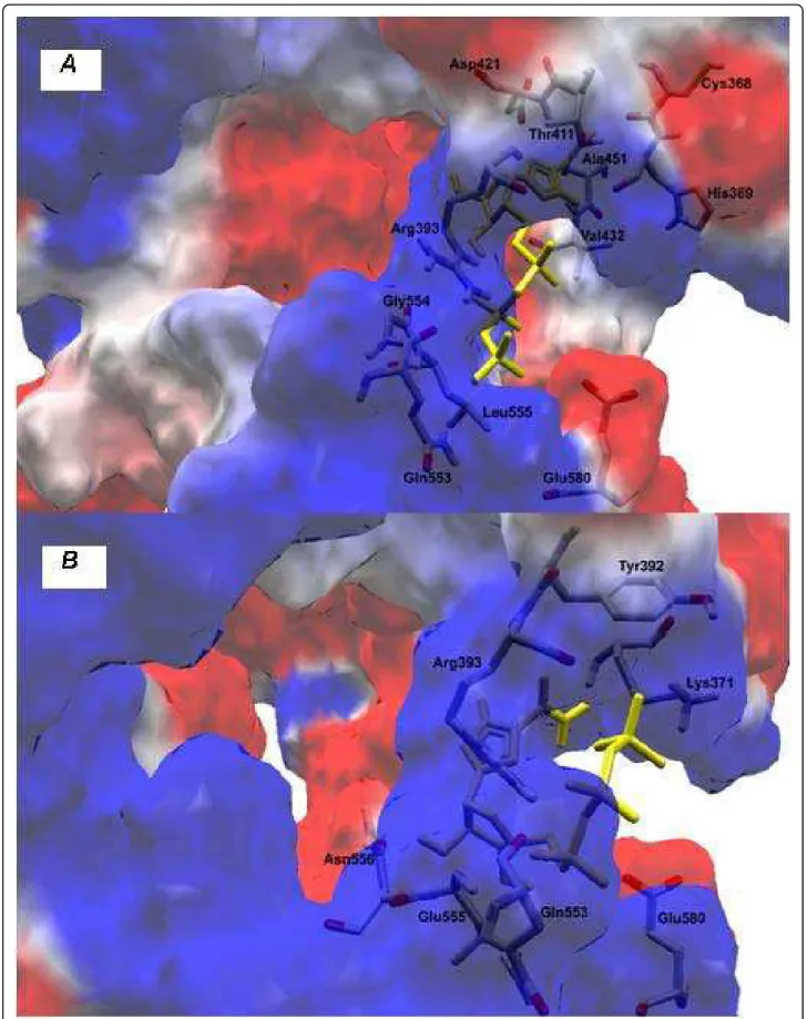 Figure 5 Docking simulations between helicase and Ribavirin substract: (A) patient RF059 and (B) patient RF020.