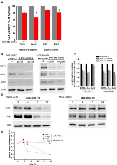 Figure S1 Vehicle control on cell death and p53- p53-dependent transcription. (A) D283-MED, MHH-Med1 and MEB-Med8A cells were treated with 1/1000 (v/v) DMSO for 6 h and levels of Mdm2 mRNA were assessed by real time qPCR.