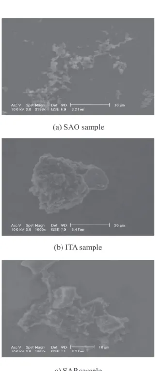 Figure 5. Scanning electron microscopy of peat samples. Figure 6. Environmental scanning electron microscopy of peat samples.