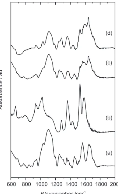 Figure 2. FT-IR absorption spectra. (a) U(600); (b) acac stabilized Ti 4+